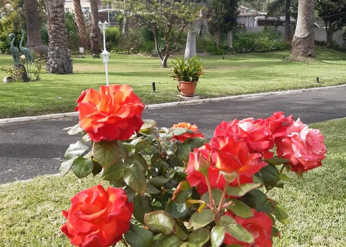 La Perla Exotica ヴィラ ロス・レアレホス