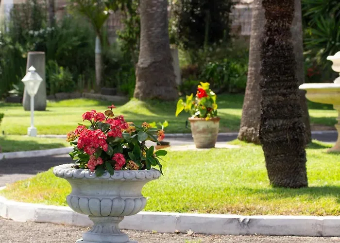 La Perla Exotica ロス・レアレホス