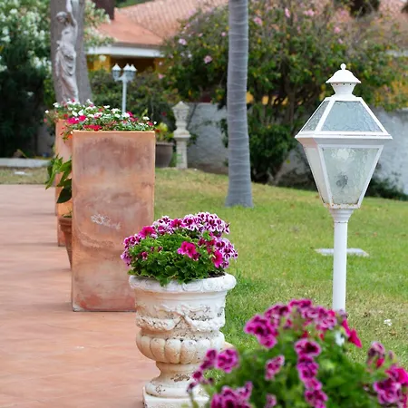 La Perla Exotica * Los Realejos