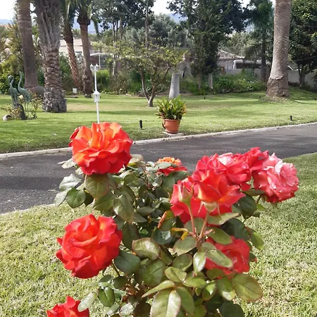 La Perla Exotica فيلة لوس رياليخوس