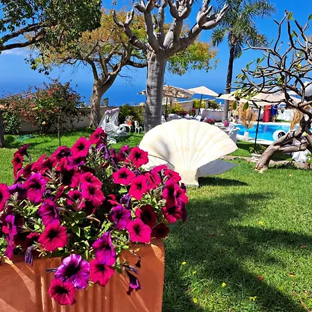 فيلة La Perla Exotica