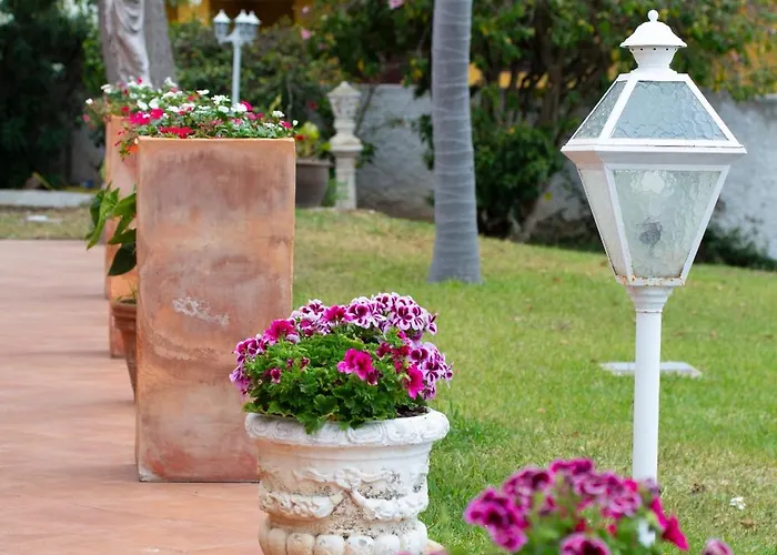 La Perla Exotica * Los Realejos